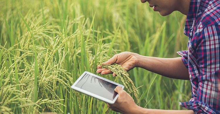 Découvrez les multiples projets d’innovation du réseau