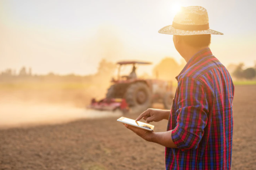 vignette - NEFERTITI