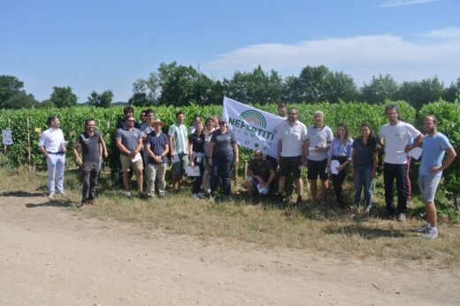 vignette - Alt&rsquo;Fongi biocontrôle