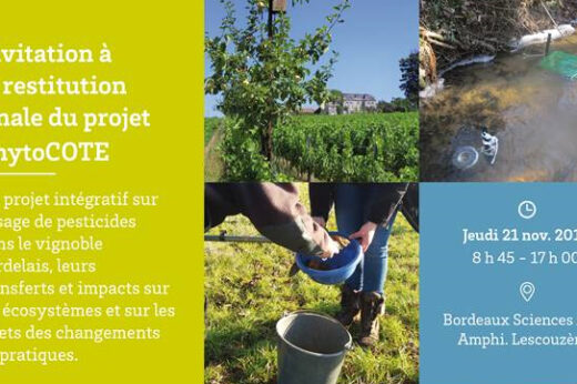 vignette - Restitution finale du projet PhytoCOTE