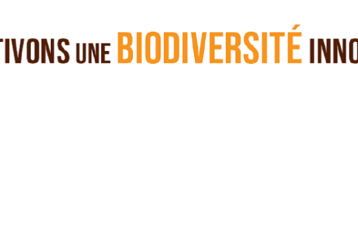 vignette - Projet Européen d’innovation CUBIC : restitution des travaux