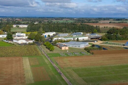 vignette - « Fascination of Plants Day 2021 » : une journée mondiale pour célébrer les plantes… le 18 mai 2021