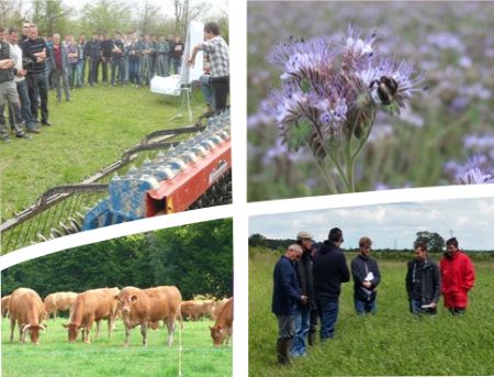 vignette - Réduction des phytos en grandes cultures, polyculture-élevage :  La 12 force du collectif ! – le 8 décembre 2021