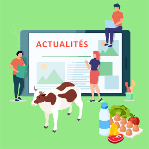 vignette - Publier un projet !